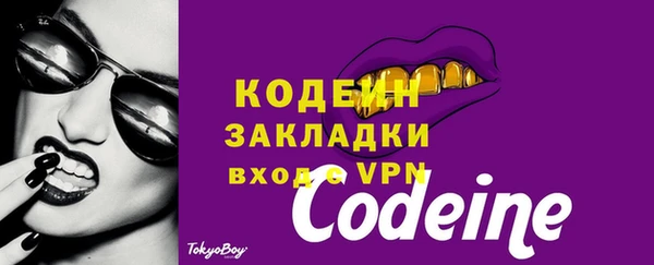 гашик Верея