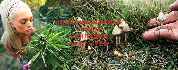 гашик Верея