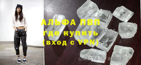 гашик Верея